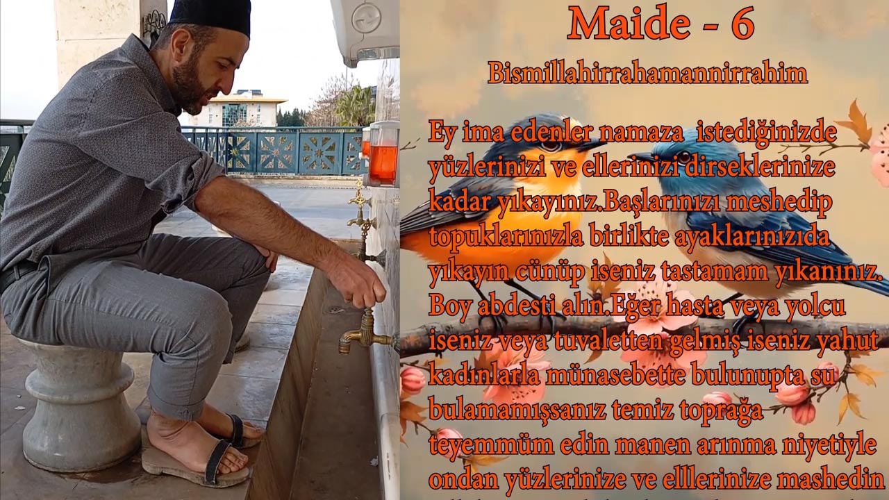 Maide 6