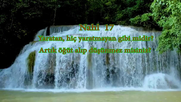 Nahl  17