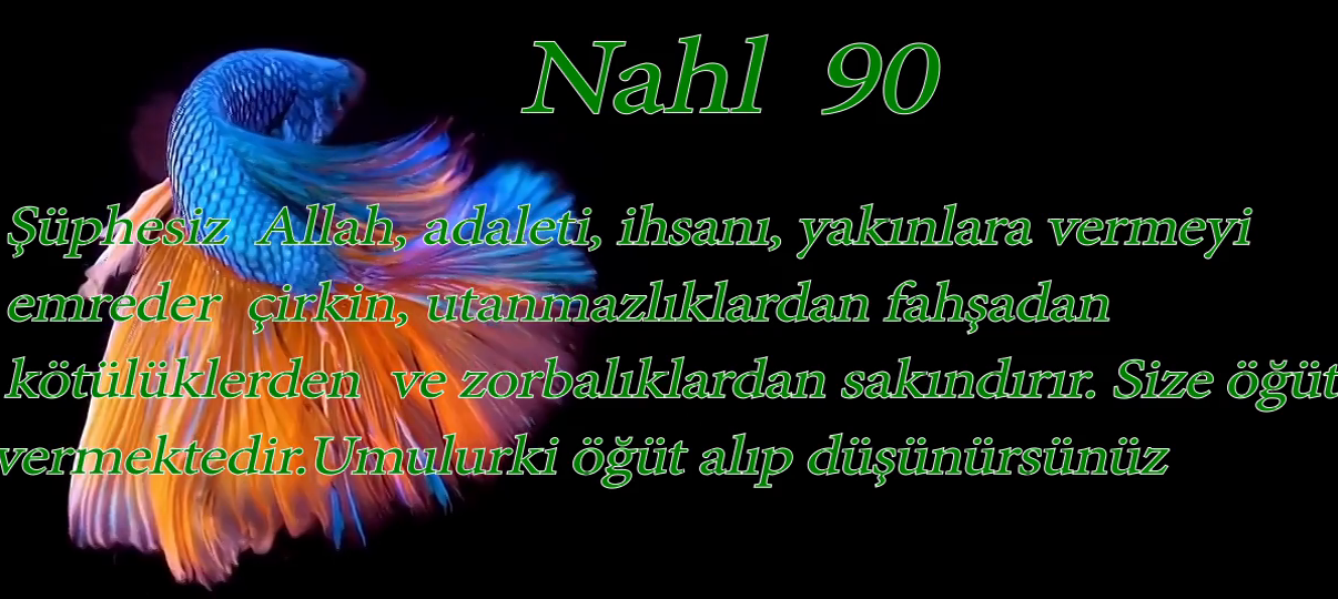 Nahl  90)