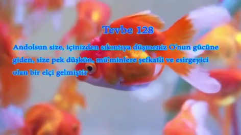 Tevbe 128