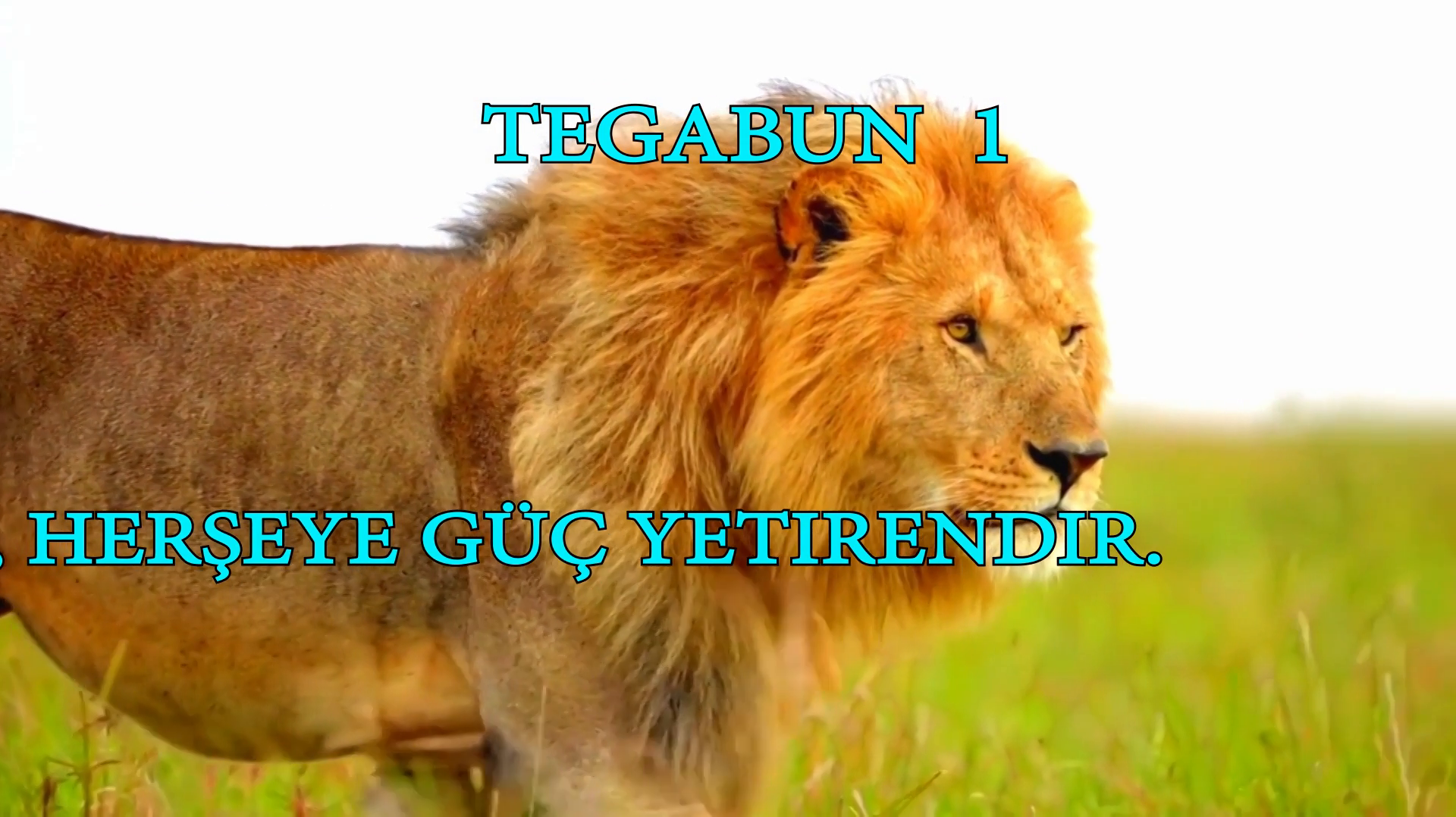 Allahın kudreti hakkında 23