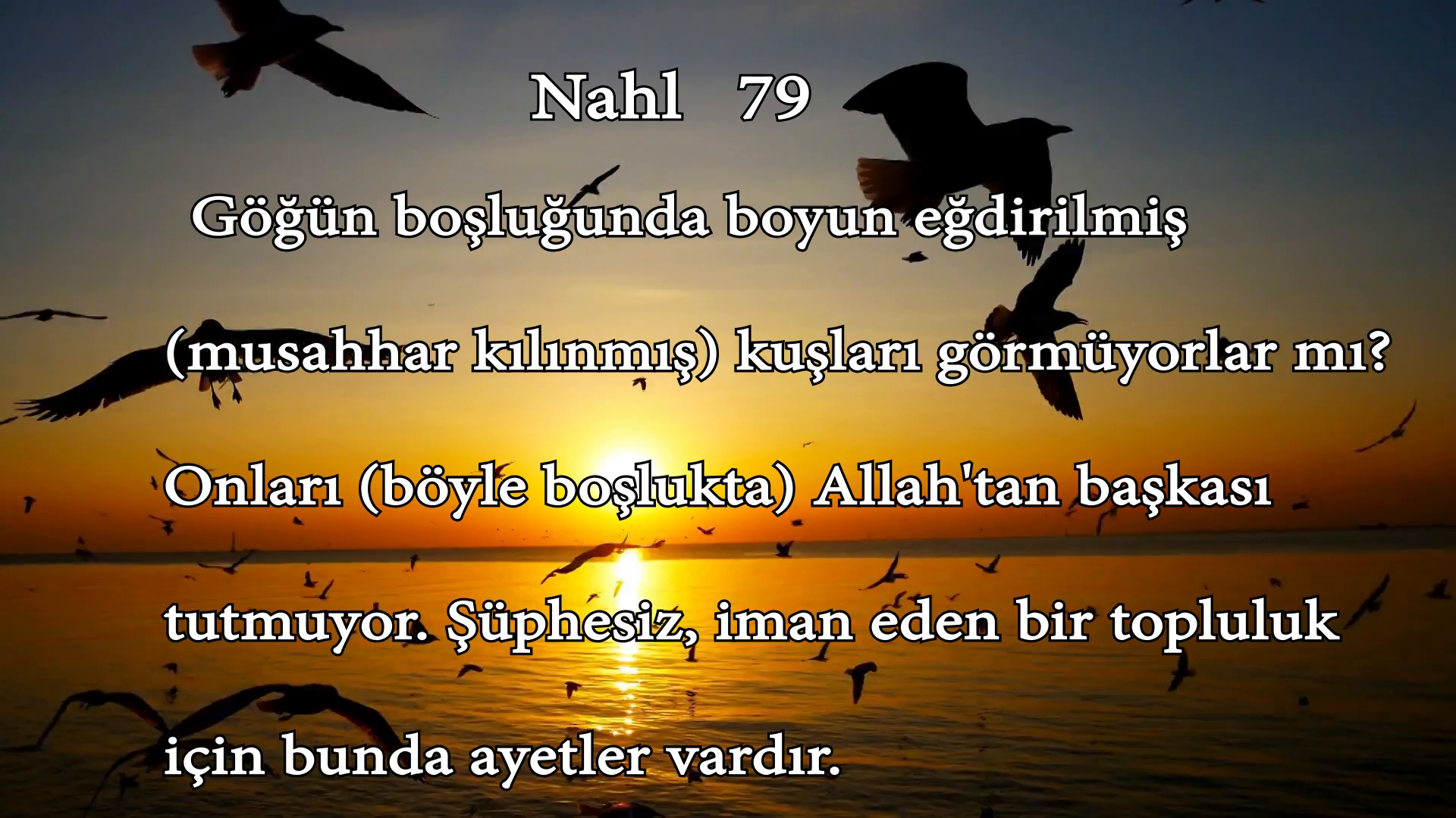 Nahl  79