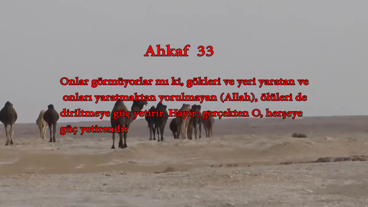 Ahkaf  33