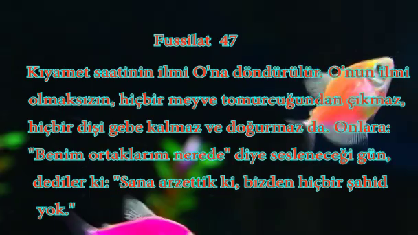Fussilat  47